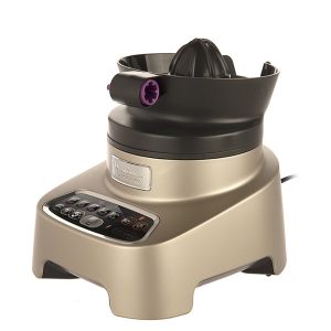 غذاساز مولینکس مدل FP828H