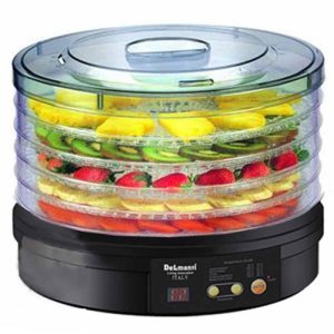 میوه خشک کن دلمونتی مدل DL220