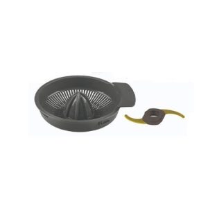 غذاساز بیم مدل FP-2005