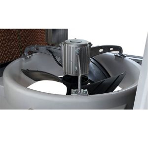 کولر نیرو تهویه البرز 15000 پایین زن